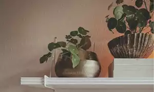 Déco Zen et Spirituelle Kaosix