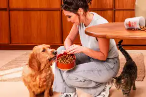 Code promo Just Russel 20%